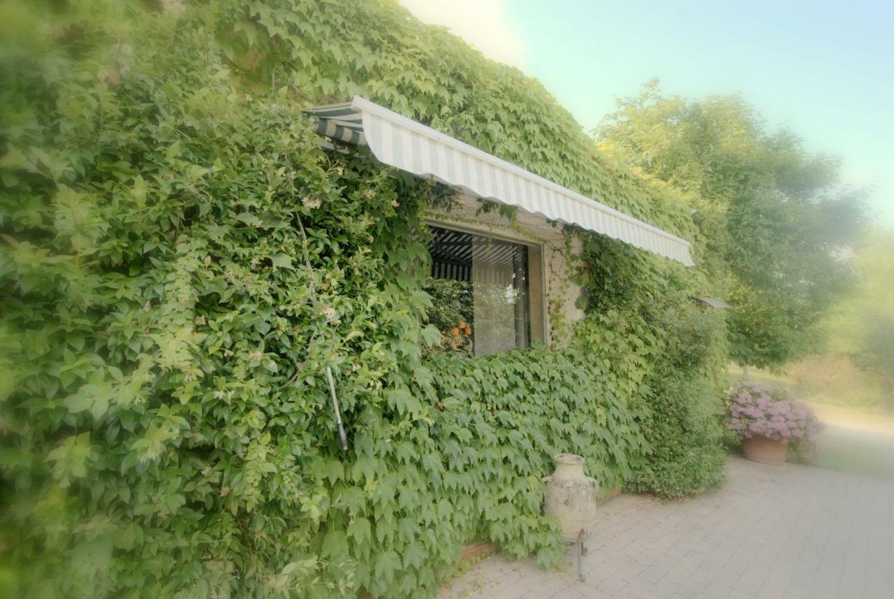 Lago Gabbiano Podere Casanova Pistoya Exterior foto